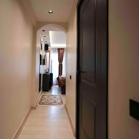 Cozy With A Turkish Bath,in Heart Of Ayasofia Apartament